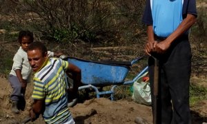 Stanford se Asrapers en Skrootdelwers